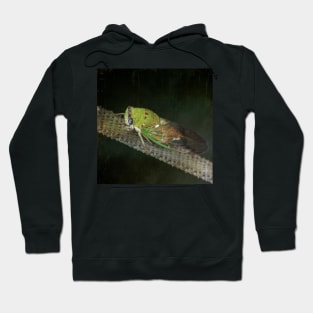 Cicada - Cicadoidea - Green - Insect Hoodie